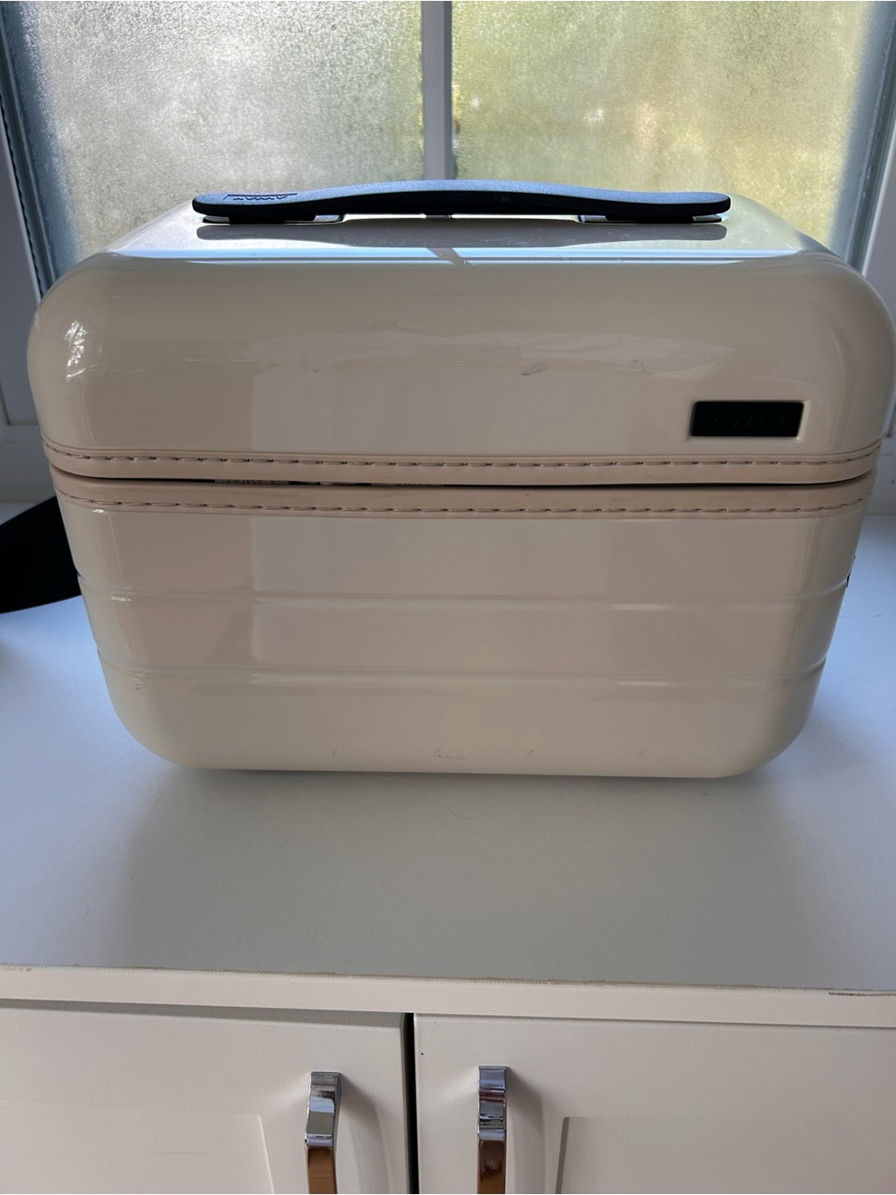 Away Train Case in Salt
